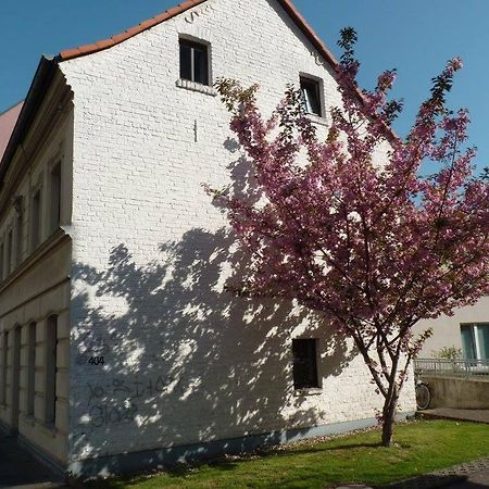 404-Hostel Kolonia Zewnętrze zdjęcie
