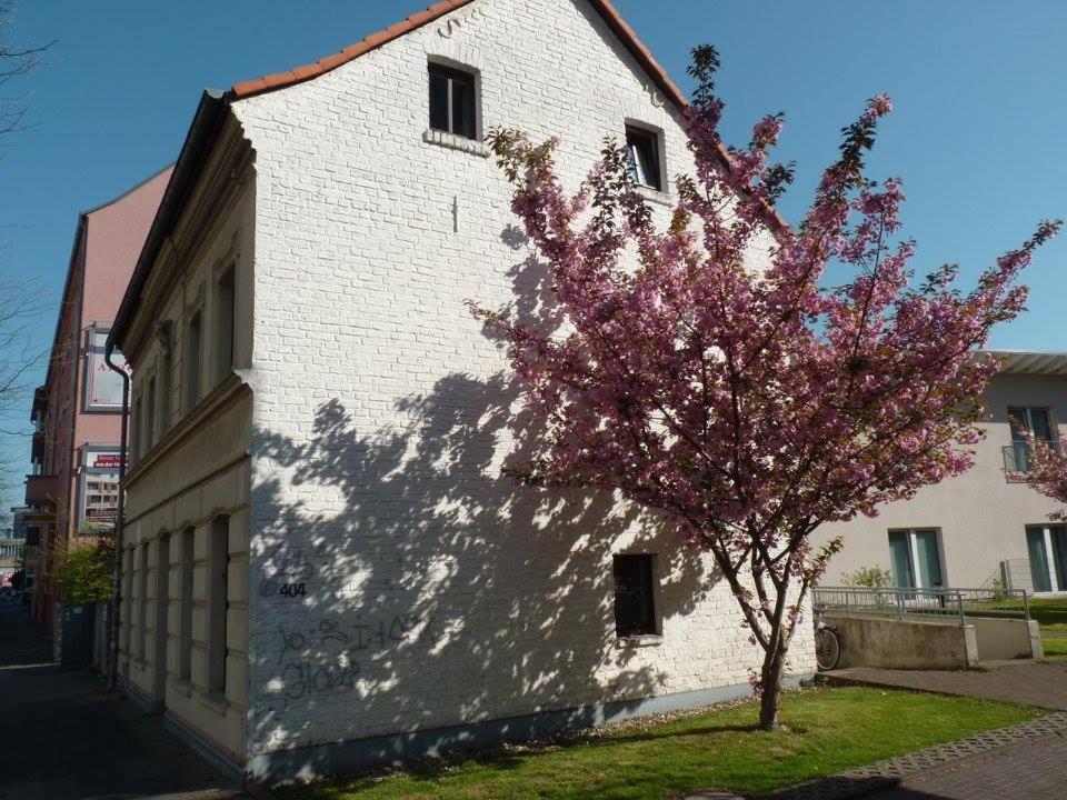 404-Hostel Kolonia Zewnętrze zdjęcie